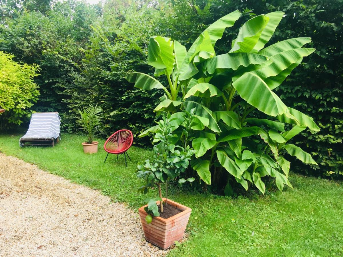 Les Glycines De Bougy Bed and Breakfast Buitenkant foto