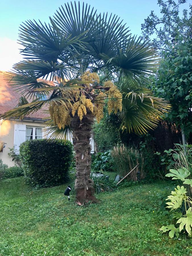 Les Glycines De Bougy Bed and Breakfast Buitenkant foto