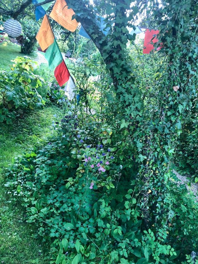 Les Glycines De Bougy Bed and Breakfast Buitenkant foto