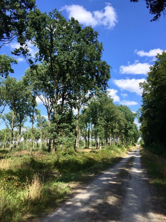 Les Glycines De Bougy Bed and Breakfast Buitenkant foto